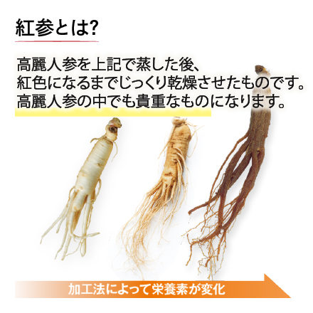 【値段そのまま90粒増量】高麗人参(30粒)×18 6/2まで！ image number 4